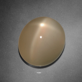 Pedra da Lua Estrela Laranja Melão Natural 14.47ct, Corte Oval, Translúcido