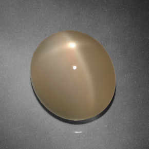 Pedra da Lua Estrela Laranja Melão Natural 14.47ct, Corte Oval, Translúcido
