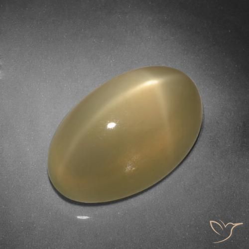 11,26 ct Oval Star Moonstone, 16,6 x 10,3 mm da Índia, Photo A