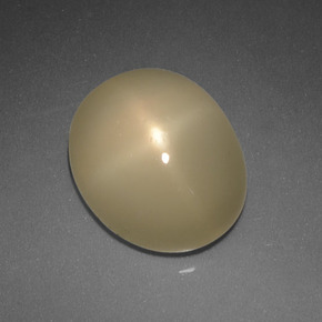 Pedra da lua estrela creme natural 5,08ct, corte oval, translúcido