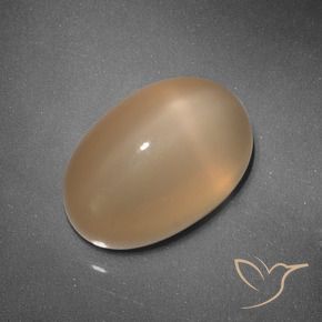 Pedra da Lua Estrela Laranja Médio Natural 5.37ct, oval, Translúcido