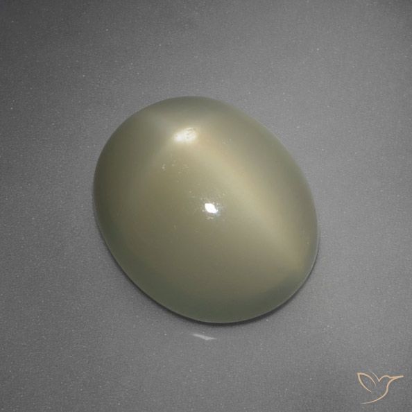 5.67ct Natural Amarelo-Cinzento Médio Pedra da Lua Estrela, oval, Translúcido