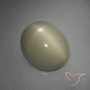 Pedra da Lua Estrela Amarelo-Cinzento Médio Natural 5.67ct, oval, Translúcido
