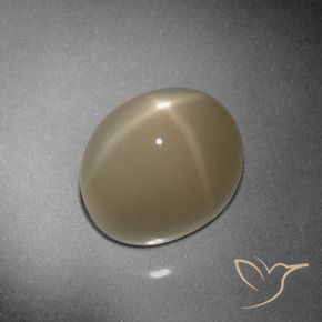 Pedra da Lua Estrela Tortilha Clara Marrom Natural 9.79ct, oval, Translúcido