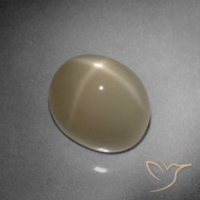 Pedra da Lua Estrela Tortilha Clara Marrom Natural 9.79ct, oval, Translúcido