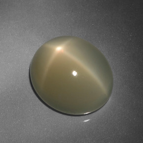 Pedra da lua estrela marrom natural 9,88ct, corte oval, translúcido