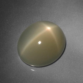 Pedra da lua estrela marrom natural 9,88ct, corte oval, translúcido
