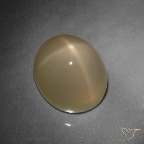 10.80ct Natural Laranja médio-escuro Pedra da Lua Estrela, oval, Translúcido