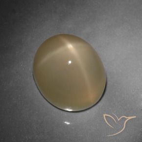 Pedra da Lua Estrela Laranja médio-escuro Natural 10.80ct, oval, Translúcido
