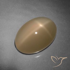 Pedra da Lua Estrela Laranja Melão Natural 9.26ct, oval, Translúcido
