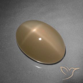Pedra da Lua Estrela Laranja Melão Natural 9.26ct, oval, Translúcido