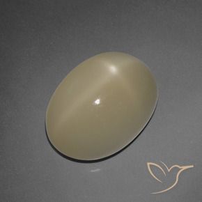 Pedra da Lua Estrela Marrom claro Natural 7.30ct, oval, Translúcido