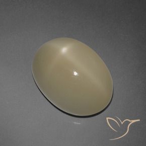 Pedra da Lua Estrela Marrom claro Natural 7.30ct, oval, Translúcido