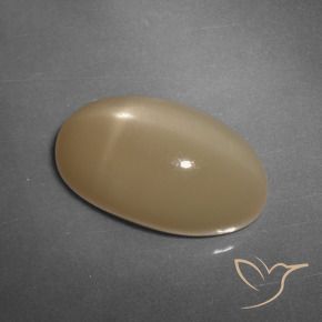 Pedra da Lua Estrela Laranja Melão Natural 11.04ct, oval, Translúcido