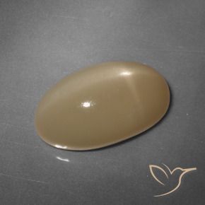 Pedra da Lua Estrela Laranja Melão Natural 11.04ct, oval, Translúcido