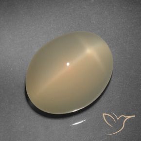 Pedra da Lua Estrela Marrom Pálido Natural 11.92ct, oval, Translúcido