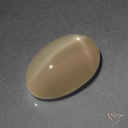 4.67ct Natural Laranja Médio Pedra da Lua Estrela, oval, Translúcido