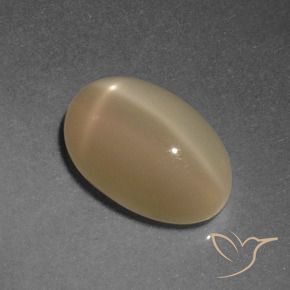 Pedra da Lua Estrela Laranja Médio Natural 4.67ct, oval, Translúcido