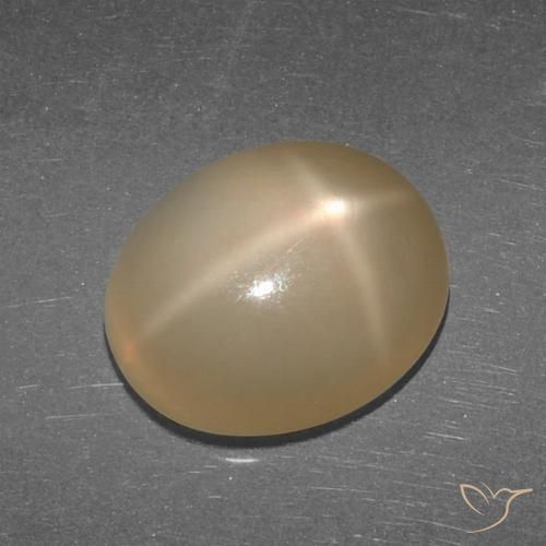 Pedra da Lua Estrela Laranja médio-escuro Natural 5.27ct, Corte Oval, Translúcido