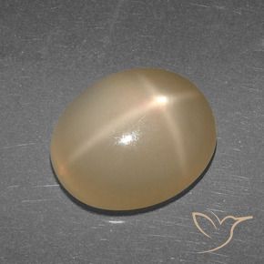 Pedra da Lua Estrela Laranja médio-escuro Natural 5.27ct, Corte Oval, Translúcido