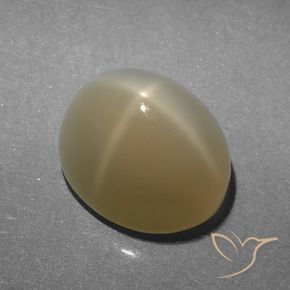 Pedra da Lua Estrela Castanho muito claro Natural 5.23ct, oval, Translúcido