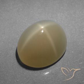 Pedra da Lua Estrela Castanho muito claro Natural 5.23ct, oval, Translúcido