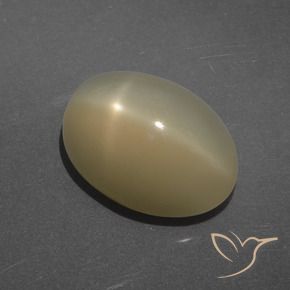 Pedra da Lua Estrela Marrom claro Natural 7.14ct, oval, Translúcido