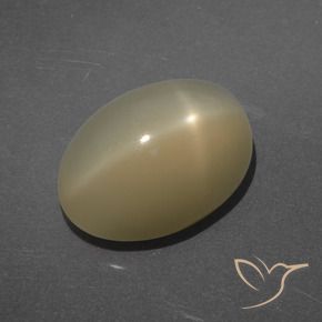 Pedra da Lua Estrela Marrom claro Natural 7.14ct, oval, Translúcido