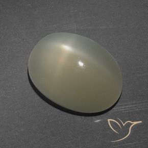 Pedra da Lua Estrela Castanho Médio-Claro Natural 7.16ct, oval, Translúcido