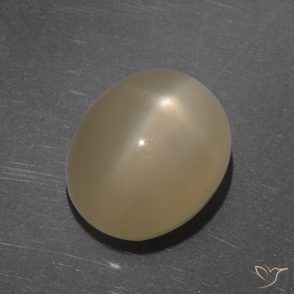 7.35ct Natural Laranja médio-escuro Pedra da Lua Estrela, oval, Translúcido