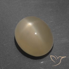 Pedra da Lua Estrela Laranja médio-escuro Natural 7.35ct, oval, Translúcido
