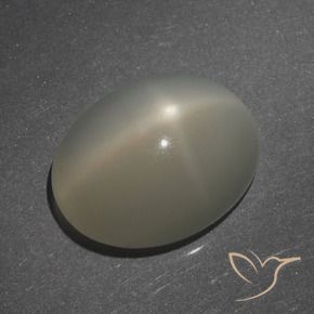 Pedra da Lua Estrela Café Marrom Claro Natural 7.62ct, oval, Translúcido