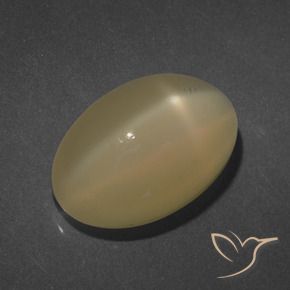 Pedra da Lua Estrela Laranja acastanhado Natural 7.25ct, oval, Translúcido