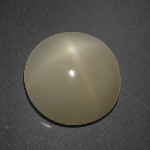 Pedra da lua estrela marrom natural 7,18ct, corte redondo, translúcido