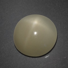 Pedra da lua estrela marrom natural 7,18ct, corte redondo, translúcido