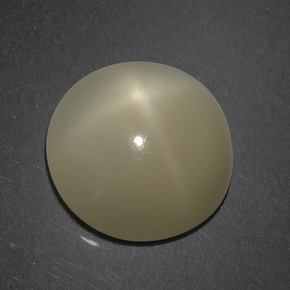 Pedra da lua estrela marrom natural 7,18ct, corte redondo, translúcido