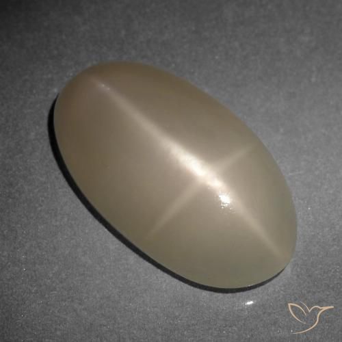 9.34ct Natural Laranja médio-escuro Pedra da Lua Estrela, oval, Translúcido