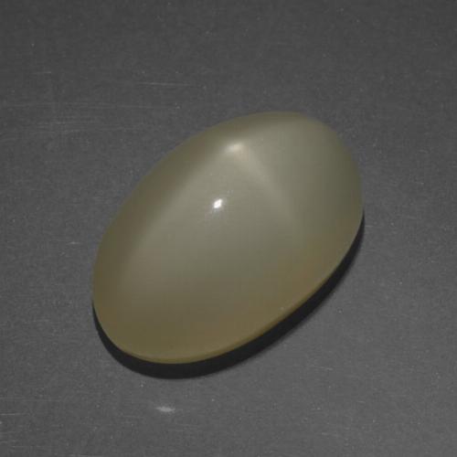 Pedra da lua estrela marrom natural 6,10ct, corte oval, translúcido