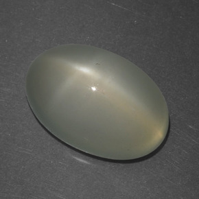 Pedra da lua estrela branco natural 6,74ct, corte oval, translúcido