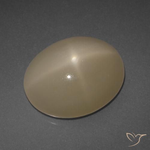 6.95ct Natural Laranja médio-escuro Pedra da Lua Estrela, oval, Translúcido