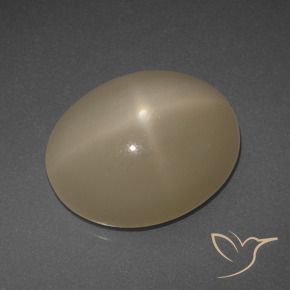 Pedra da Lua Estrela Laranja médio-escuro Natural 6.95ct, oval, Translúcido