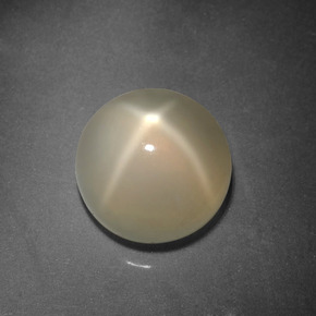 Pedra da lua estrela creme natural 3,90ct, corte redondo, translúcido