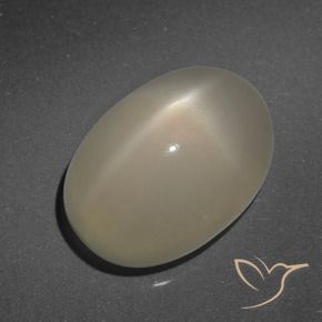 Pedra da Lua Estrela Café Marrom Claro Natural 7.90ct, oval, Translúcido