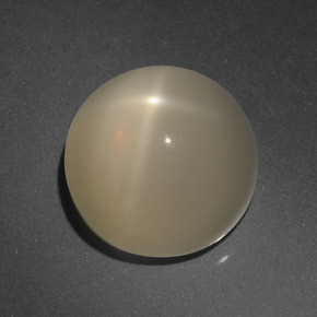 Pedra da lua estrela creme natural 8,63ct, corte redondo, translúcido