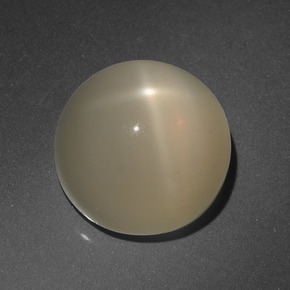 Pedra da lua estrela creme natural 8,63ct, corte redondo, translúcido