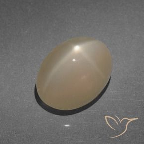 Pedra da Lua Estrela Marrom Claro Quente Natural 8.47ct, oval, Translúcido