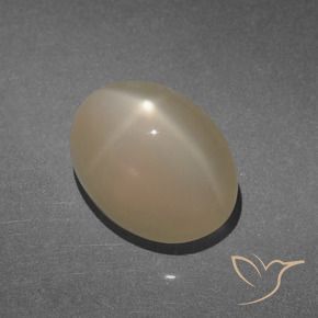Pedra da Lua Estrela Marrom Claro Quente Natural 8.47ct, oval, Translúcido