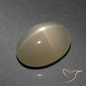 Pedra da Lua Estrela Marrom claro Natural 8.25ct, oval, Translúcido