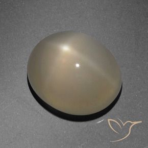 Pedra da Lua Estrela Marrom claro Natural 6.13ct, oval, Translúcido