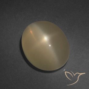 Pedra da Lua Estrela Marrom claro Natural 6.37ct, oval, Translúcido